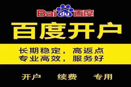 百度广告推广的投放策略与市场分析